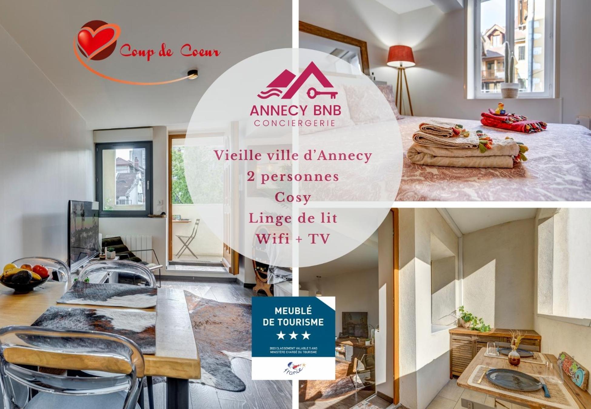 Le Pura Vida, Hyper Centre Terrasse + Parking Apartman Annecy Kültér fotó